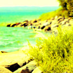 Test Caption for Image Two